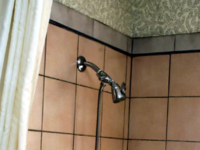 Dark visible mold growth along grout lines on an indoor tiled surface